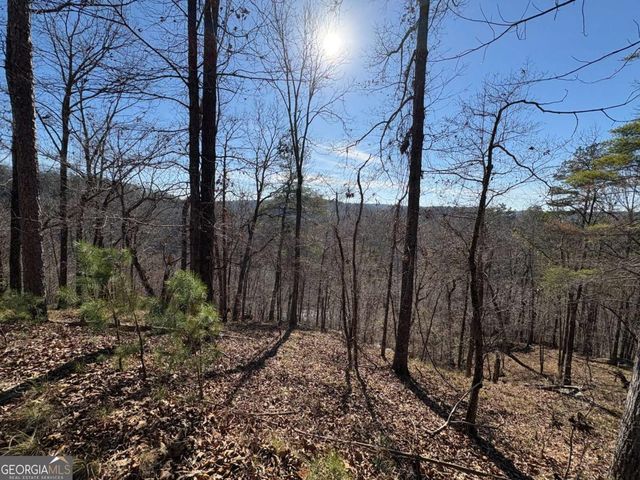 0 Lawrence Road, Dawsonville, GA 30534