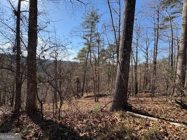 0 Lawrence Road, Dawsonville, GA 30534