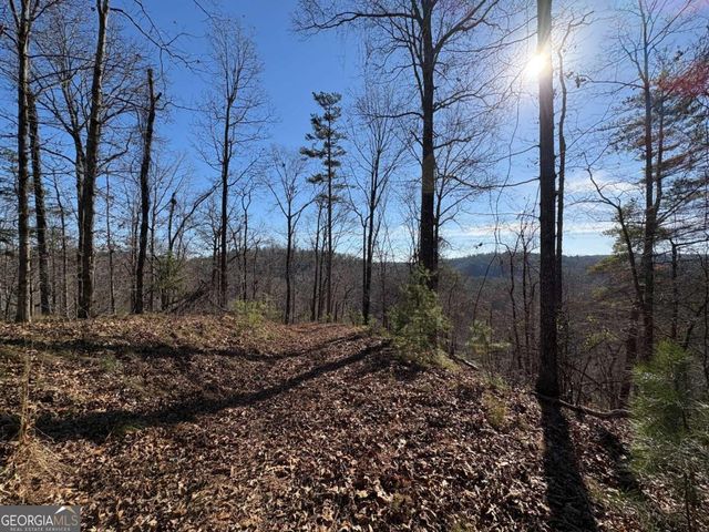 0 Lawrence Road, Dawsonville, GA 30534