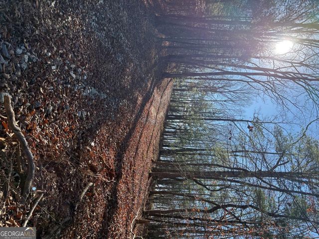 0 Lawrence Road, Dawsonville, GA 30534