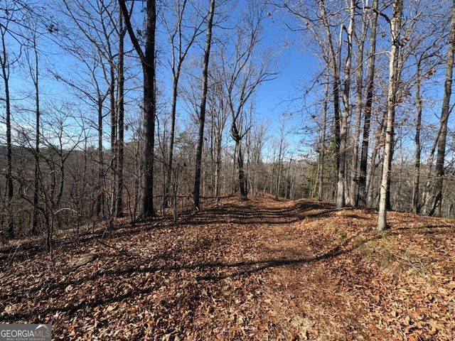 0 Lawrence Road, Dawsonville, GA 30534