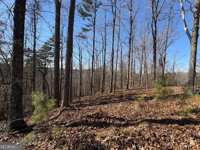 0 Lawrence Road, Dawsonville, GA 30534