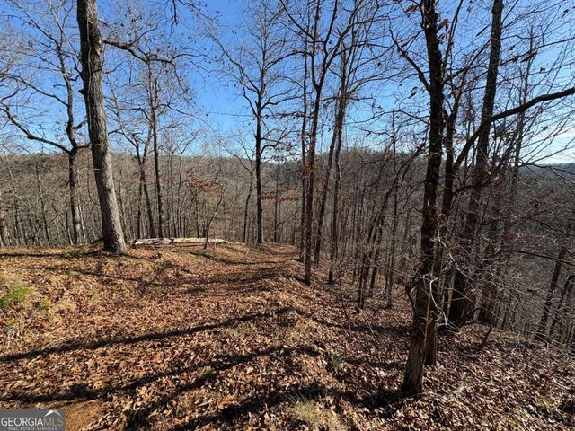 0 Lawrence Road, Dawsonville, GA 30534