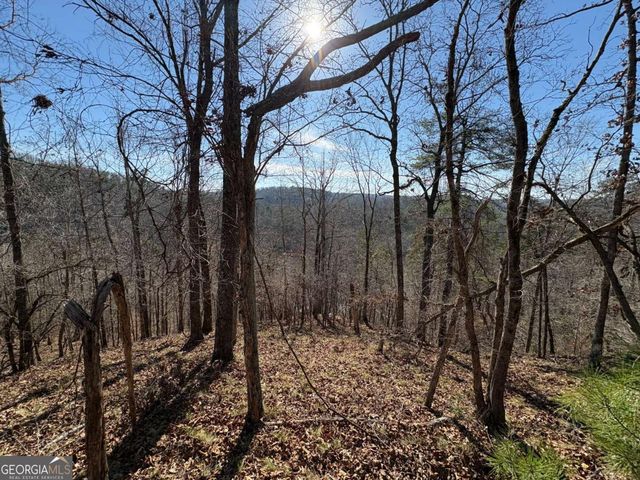 0 Lawrence Road, Dawsonville, GA 30534