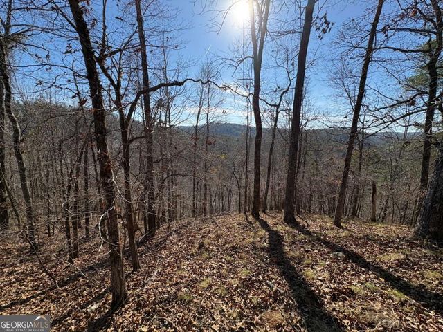 0 Lawrence Road, Dawsonville, GA 30534