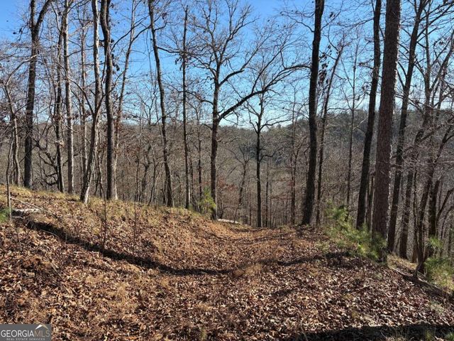 0 Lawrence Road, Dawsonville, GA 30534