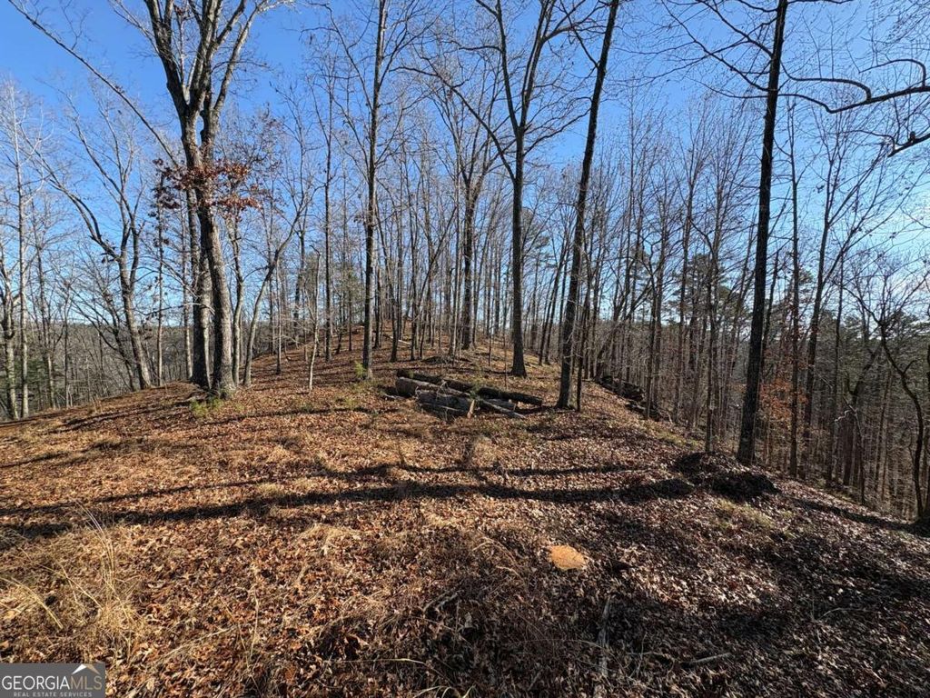 0 Lawrence Road, Dawsonville, GA 30534