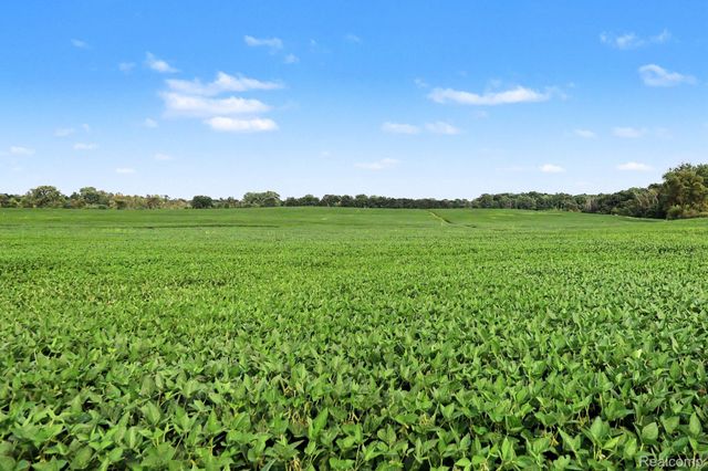 Parcel B N Hacker Road, Hartland Township, MI 48843