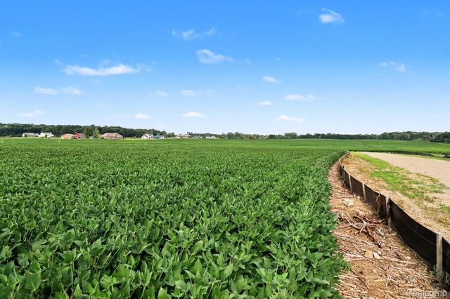 Parcel B N Hacker Road, Hartland Township, MI 48843