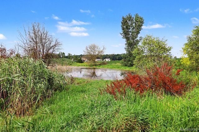 Parcel B N Hacker Road, Hartland Township, MI 48843