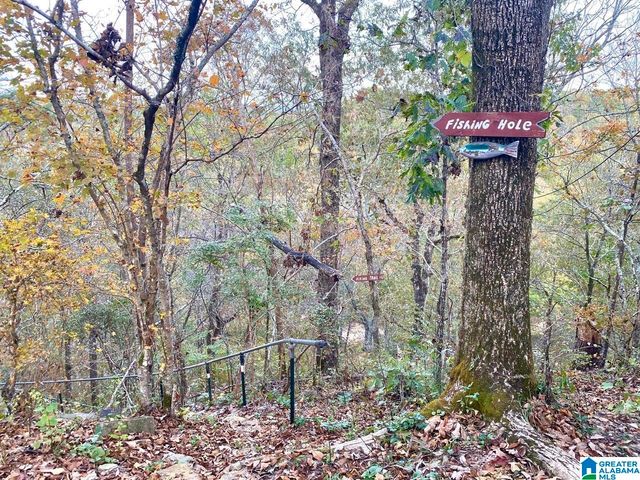 640 GILMAN BEND ROAD, Hayden, AL 35079