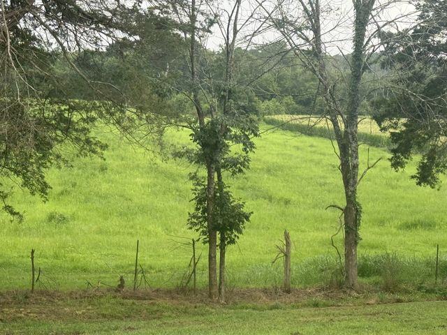 0 Burford Rd, Lebanon, TN 37087