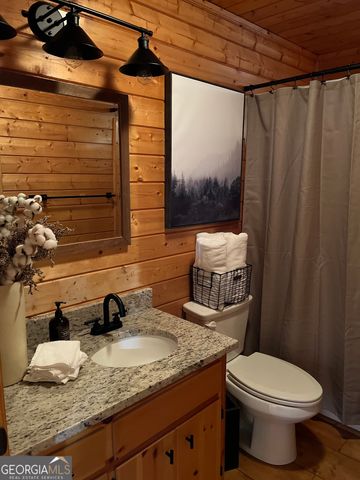 348 Cherry Lake Drive, Blue Ridge, GA 30513