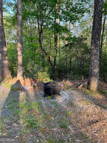 348 Cherry Lake Drive, Blue Ridge, GA 30513