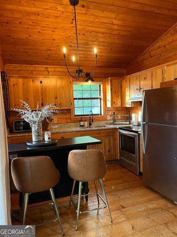 348 Cherry Lake Drive, Blue Ridge, GA 30513