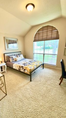 12450 Granite Falls Trail, Frisco, TX 75035