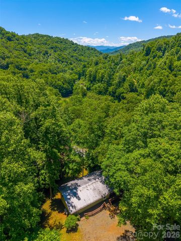 168 Grizzly Ridge, Sylva, NC 28779