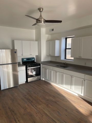 3222-3224 S Morgan Street, Chicago, IL 60608