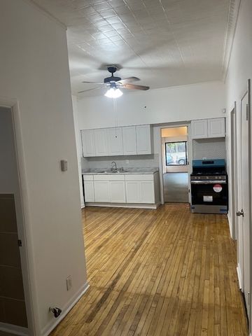 3222-3224 S Morgan Street, Chicago, IL 60608