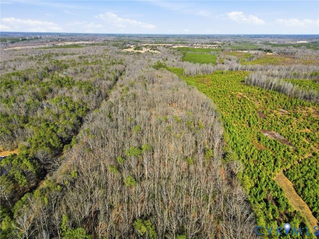 17172 English Walnut Rd, Beaverdam, VA 23015