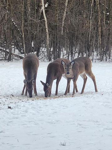 N8332 Weber ROAD, East Troy, WI 53120