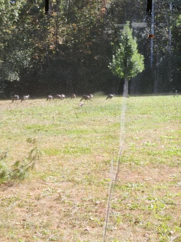 N8332 Weber ROAD, East Troy, WI 53120