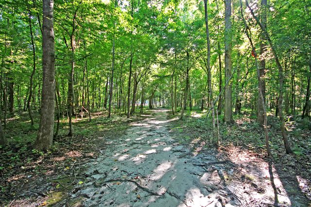 109 Preston Court, Goose Creek, SC 29445