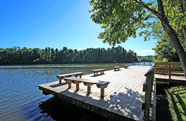 109 Preston Court, Goose Creek, SC 29445