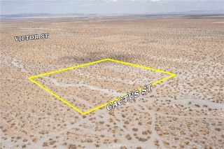 31001214 Cactus, Pinon Hills, CA 92372