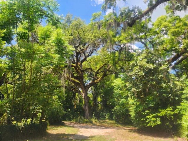 1985 NE 97TH STREED ROAD, Anthony, FL 32617