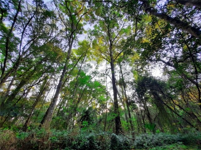 1985 NE 97TH STREED ROAD, Anthony, FL 32617