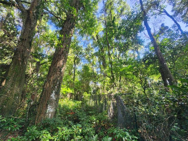 1985 NE 97TH STREED ROAD, Anthony, FL 32617
