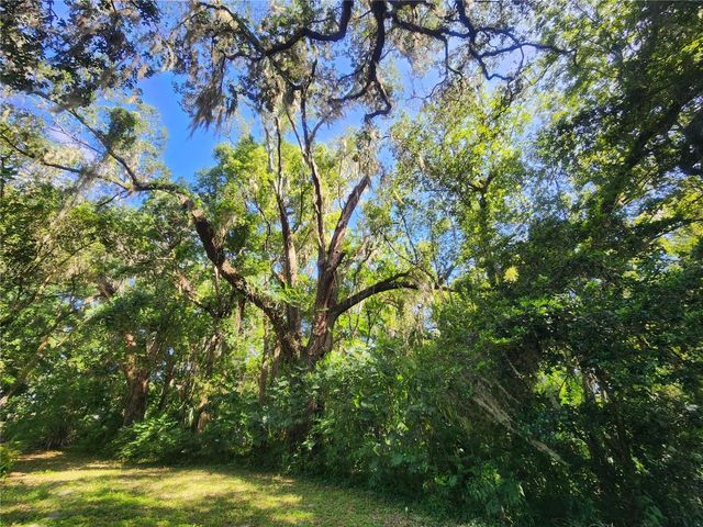1985 NE 97TH STREED ROAD, Anthony, FL 32617