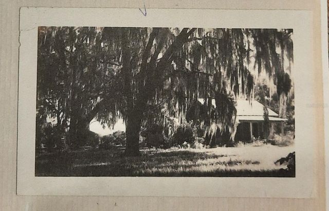 1985 NE 97TH STREED ROAD, Anthony, FL 32617
