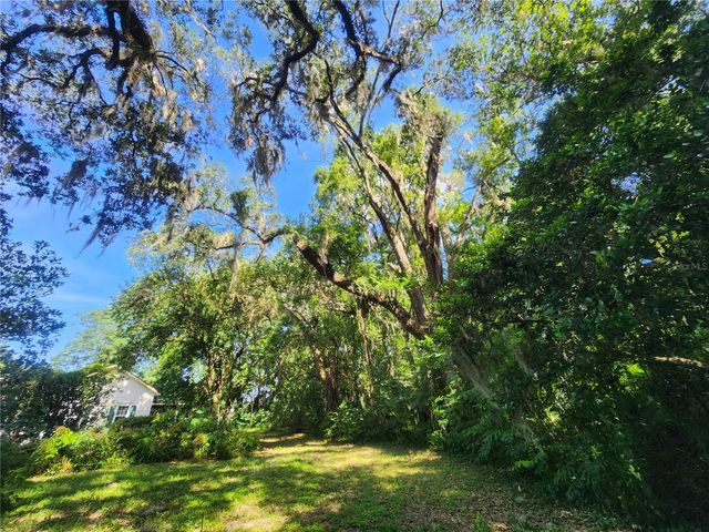 1985 NE 97TH STREED ROAD, Anthony, FL 32617