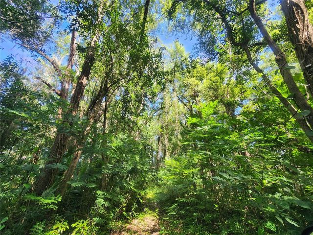 1985 NE 97TH STREED ROAD, Anthony, FL 32617