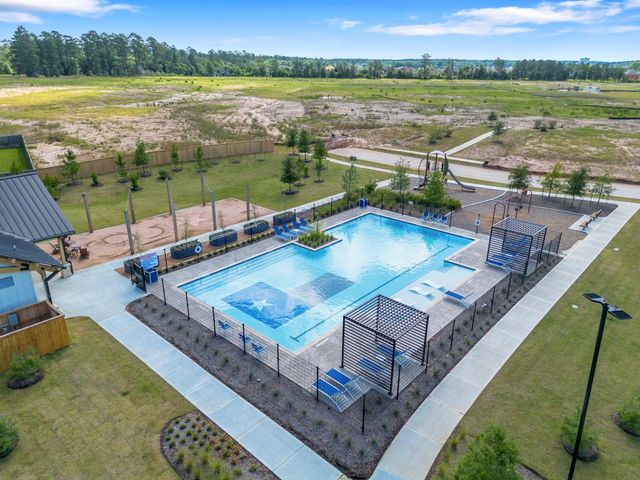 215 Prairie Ridge Lane, Montgomery, TX 77356