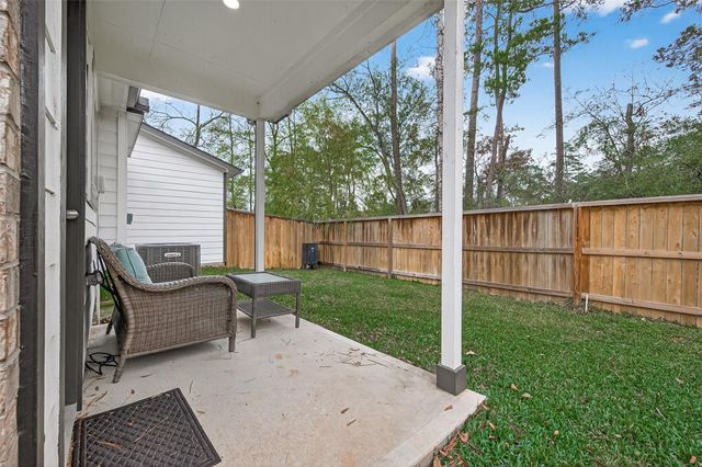 218 Skybranch Court, Conroe, TX 77304