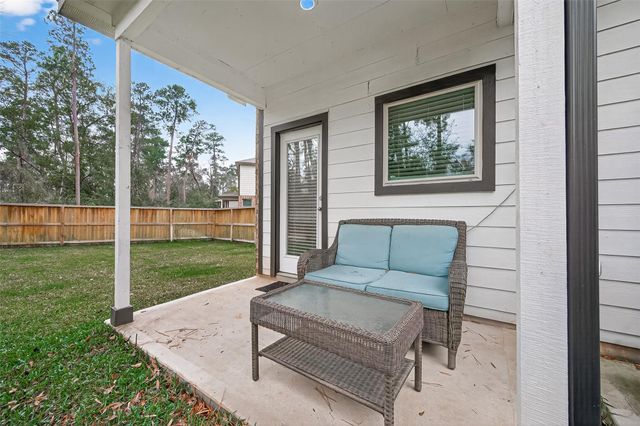 218 Skybranch Court, Conroe, TX 77304