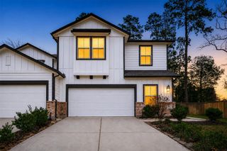 218 Skybranch Court, Conroe, TX 77304