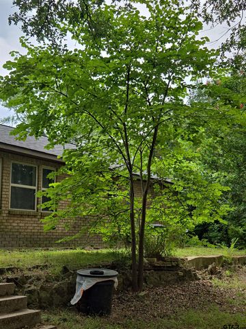 20859 CR 2207, Arp, TX 75750