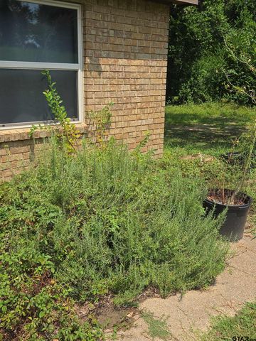 20859 CR 2207, Arp, TX 75750