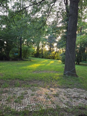 20859 CR 2207, Arp, TX 75750