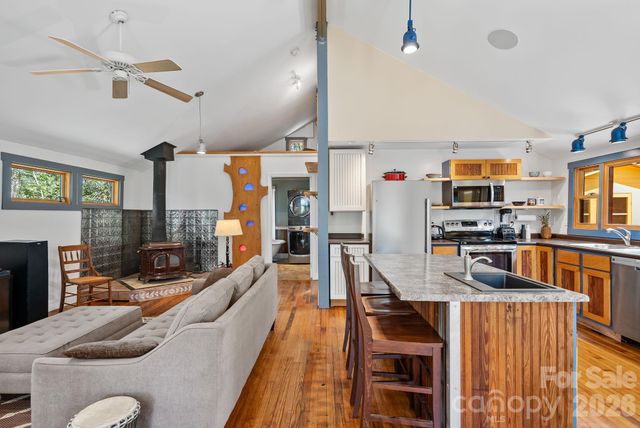 48 Springvale Avenue, Asheville, NC 28803