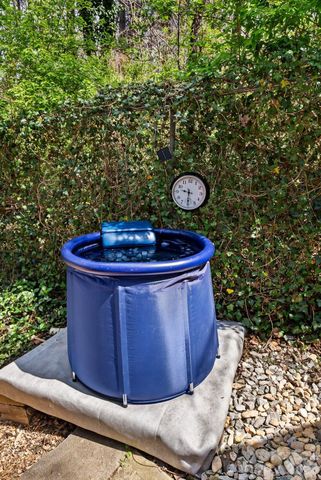 48 Springvale Avenue, Asheville, NC 28803