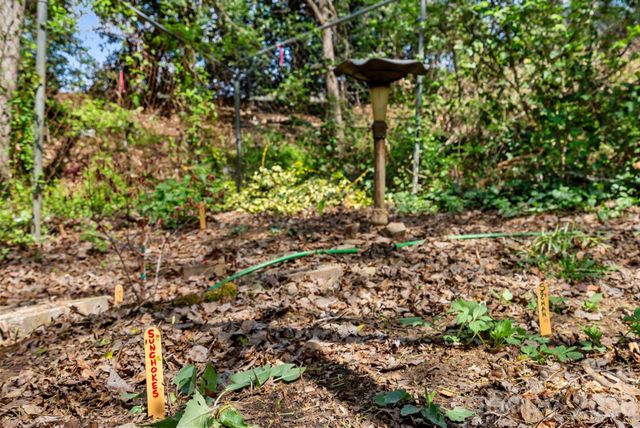 48 Springvale Avenue, Asheville, NC 28803