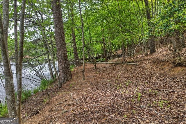 354 Kaely Drive, Mineral Bluff, GA 30559
