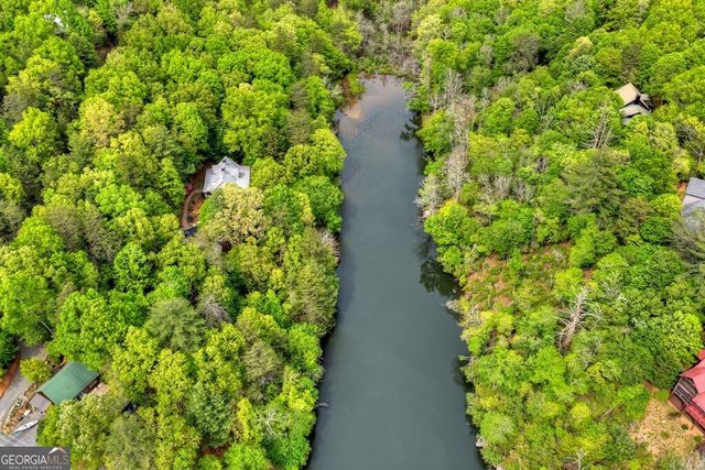 354 Kaely Drive, Mineral Bluff, GA 30559