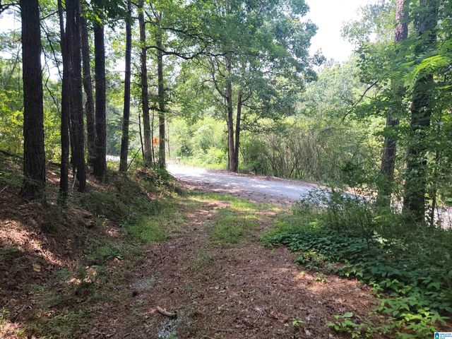 56 COUNTY ROAD 1643, Cullman, AL 35058