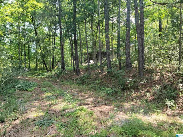 56 COUNTY ROAD 1643, Cullman, AL 35058